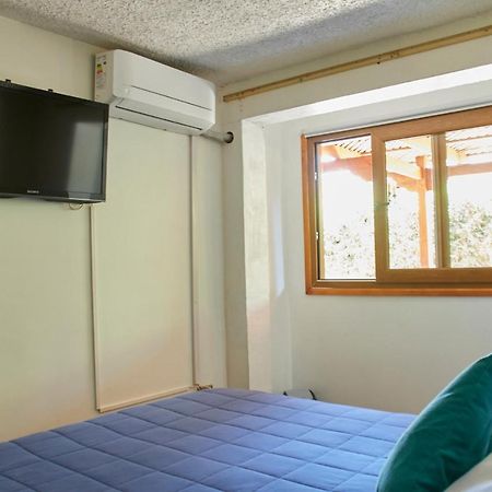 Hostal Aldea Colchagua Experience 圣克鲁兹 外观 照片