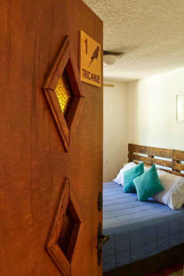 Hostal Aldea Colchagua Experience 圣克鲁兹 外观 照片